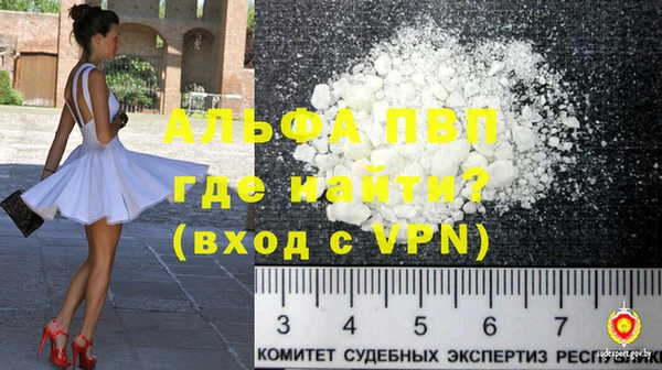 эйфоретик Алзамай