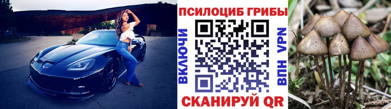 Галлюциногенные грибы Cubensis Беслан